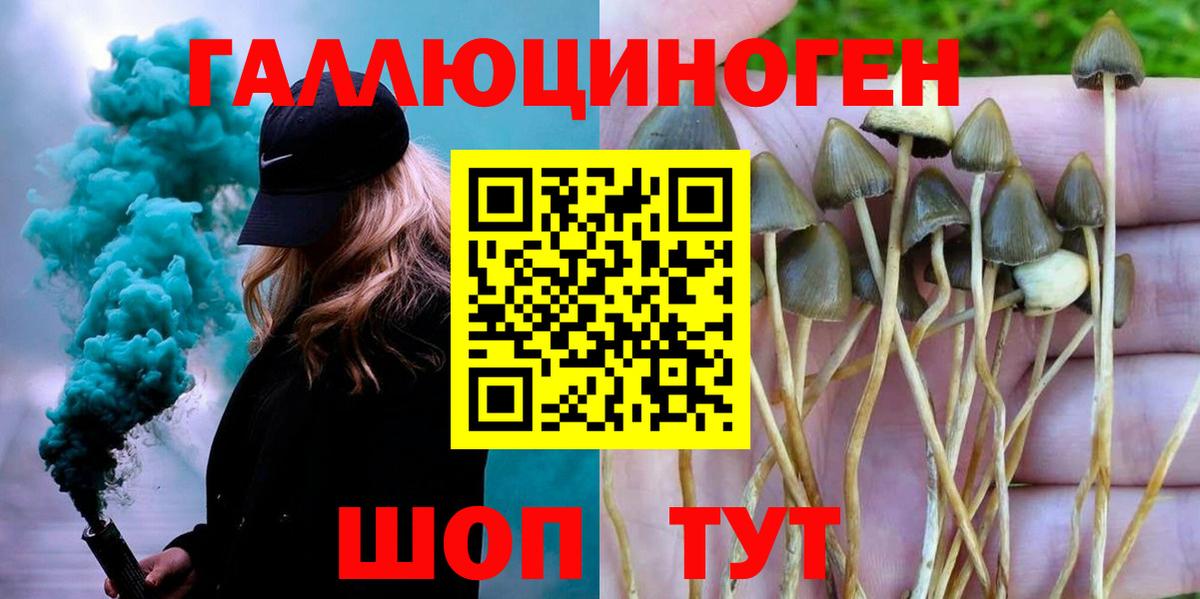 Псилоцибиновые грибы прущие грибы  Вход с VPN  Ивантеевка 